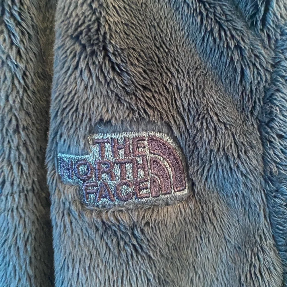 The North Face Men's Deep Blue Performance Jacket